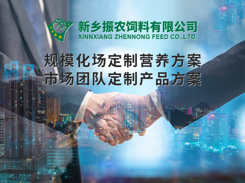 規(guī)?；喼?>
                          </div>
                          <div   id=